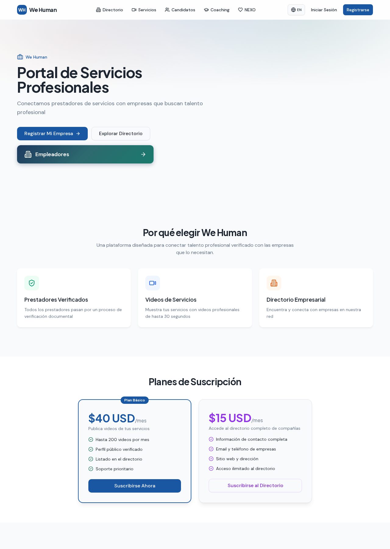 We Human website preview
